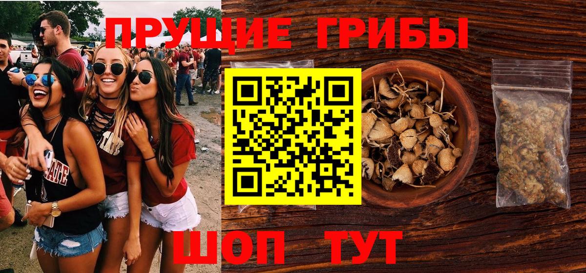 Галлюциногенные грибы Psilocybine cubensis Тула