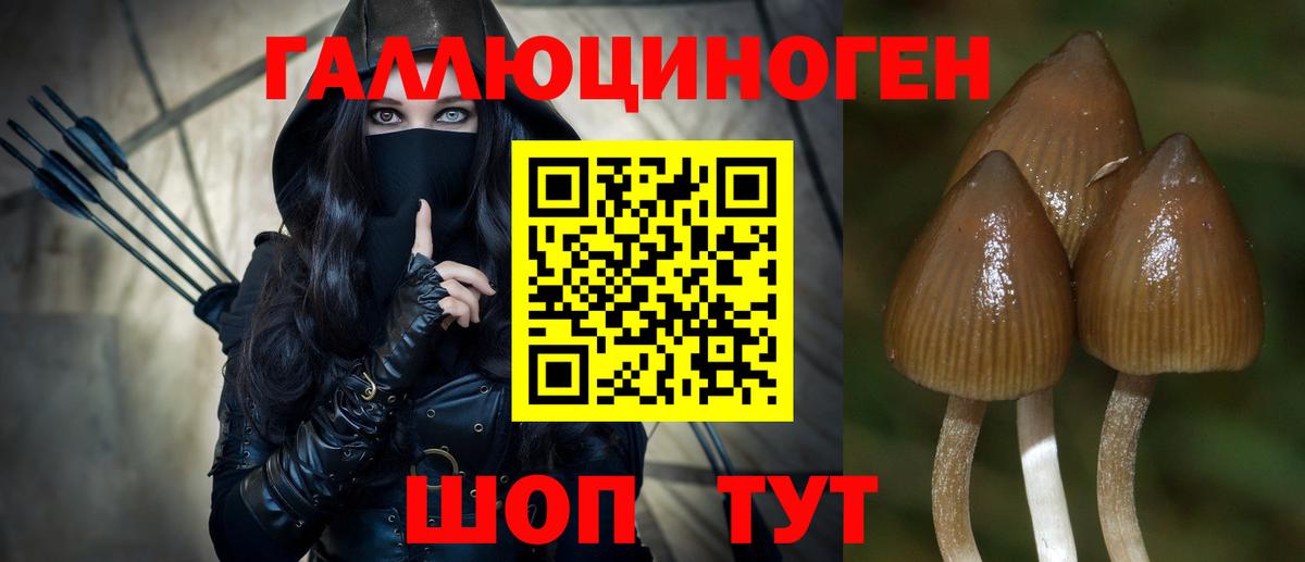 Псилоцибиновые грибы Psilocybine cubensis  Псилоцибиновые грибы Psilocybe  Вход с VPN  Тула 